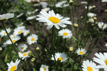 Similar image 21533533