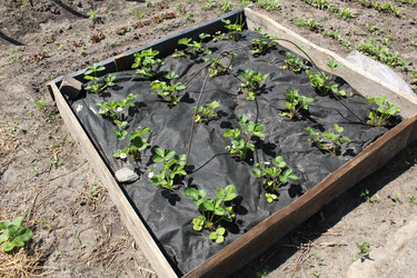 Similar image 21533534