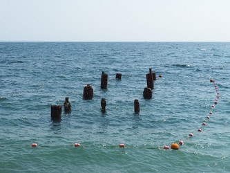 Similar image 21527801