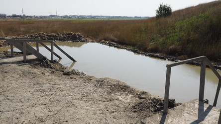 Similar image 21527806