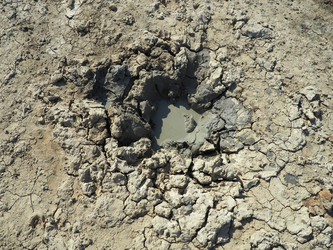 Similar image 21528170