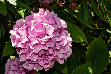 Similar image 21535996