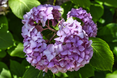 Similar image 21537639