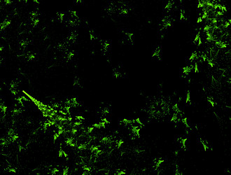 Similar image 21535143