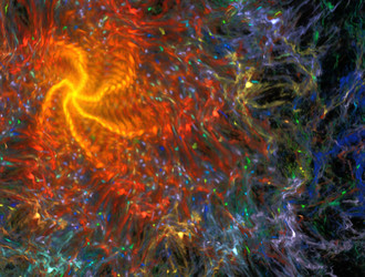 Similar image 21535146