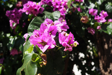 Similar image 21527818