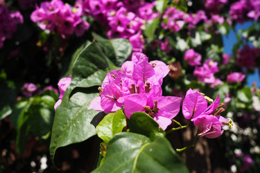 Similar image 21527819