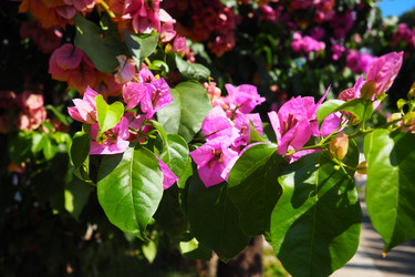 Similar image 21527820