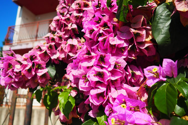 Similar image 21527822