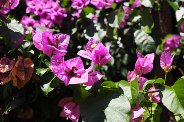 Similar image 21527823