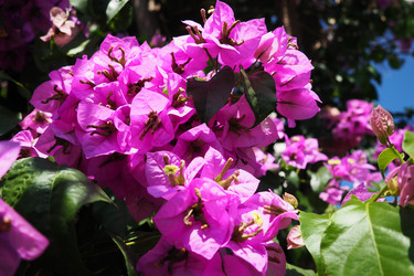 Similar image 21527824