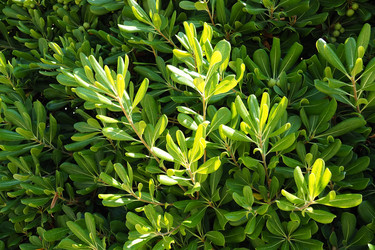 Similar image 21527825