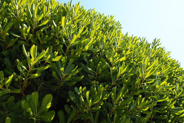 Similar image 21527826