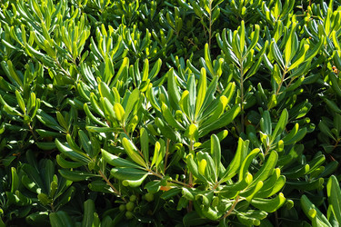 Similar image 21527827