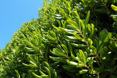 Similar image 21527828