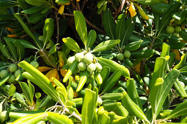 Similar image 21527829