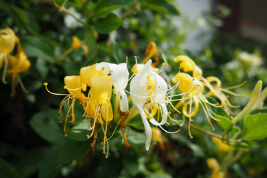 Similar image 21527844