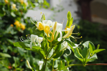 Similar image 21527845