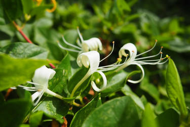 Similar image 21527846