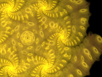 Similar image 21544658