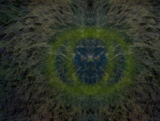 Similar image 21549710