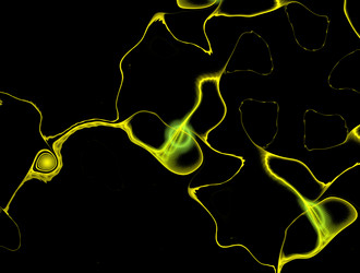 Similar image 21537647