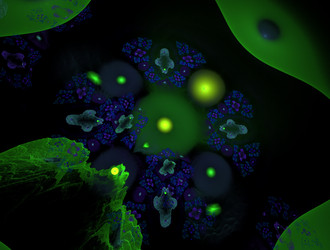 Similar image 21542278