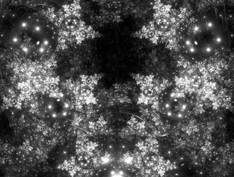 Similar image 21543043