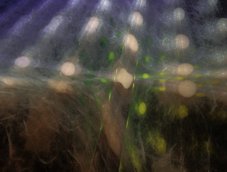 Similar image 21544664