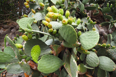 Similar image 21527853