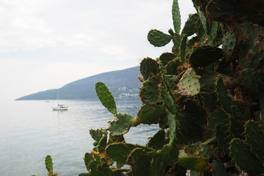 Similar image 21527854