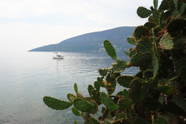 Similar image 21527855