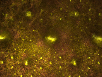 Similar image 21543064