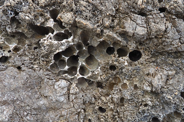 Similar image 21527869