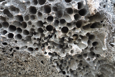 Similar image 21527873