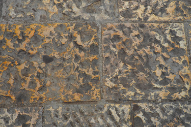 Similar image 21527876