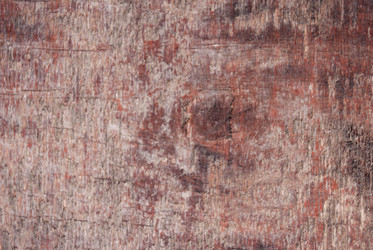 Similar image 21533741