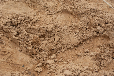 Similar image 21533758