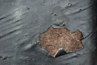 Similar image 21533761