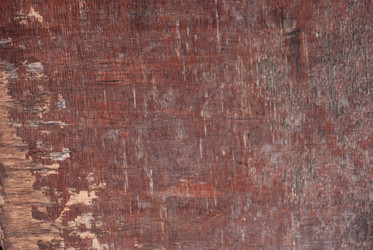 Similar image 21533764