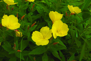 Similar image 21533767