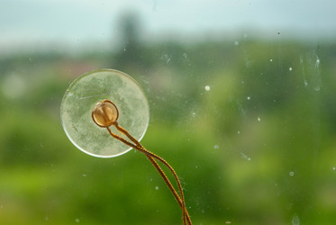 Similar image 21533770