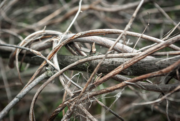 Similar image 21533771