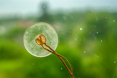 Similar image 21533772