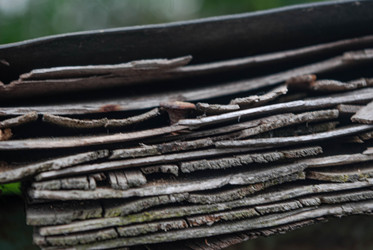 Similar image 21533773