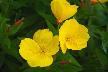 Similar image 21533777