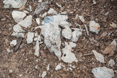 Similar image 21533778