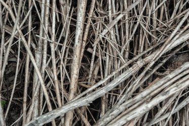 Similar image 21533780