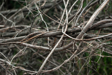 Similar image 21533781