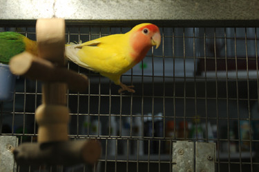 Similar image 21533540